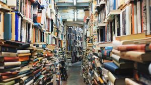 Corridor stacked high with books